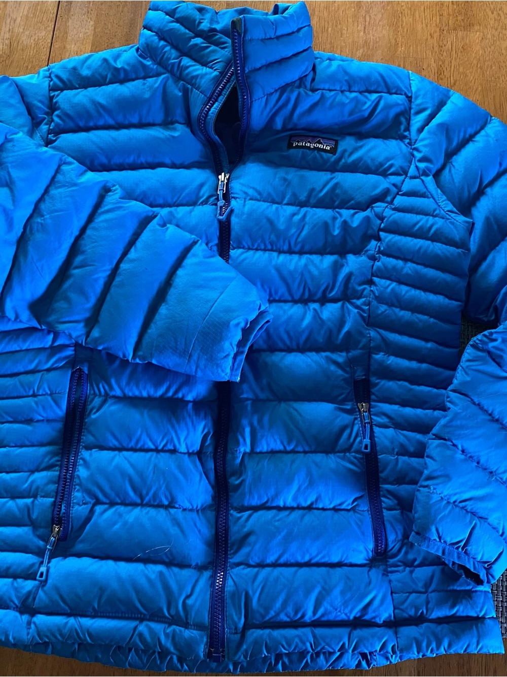 Patagonia Electric Blue Quilted Puffer Jacket